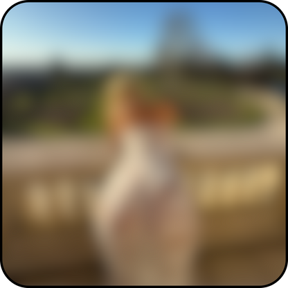 oops (6 pics 1 video)