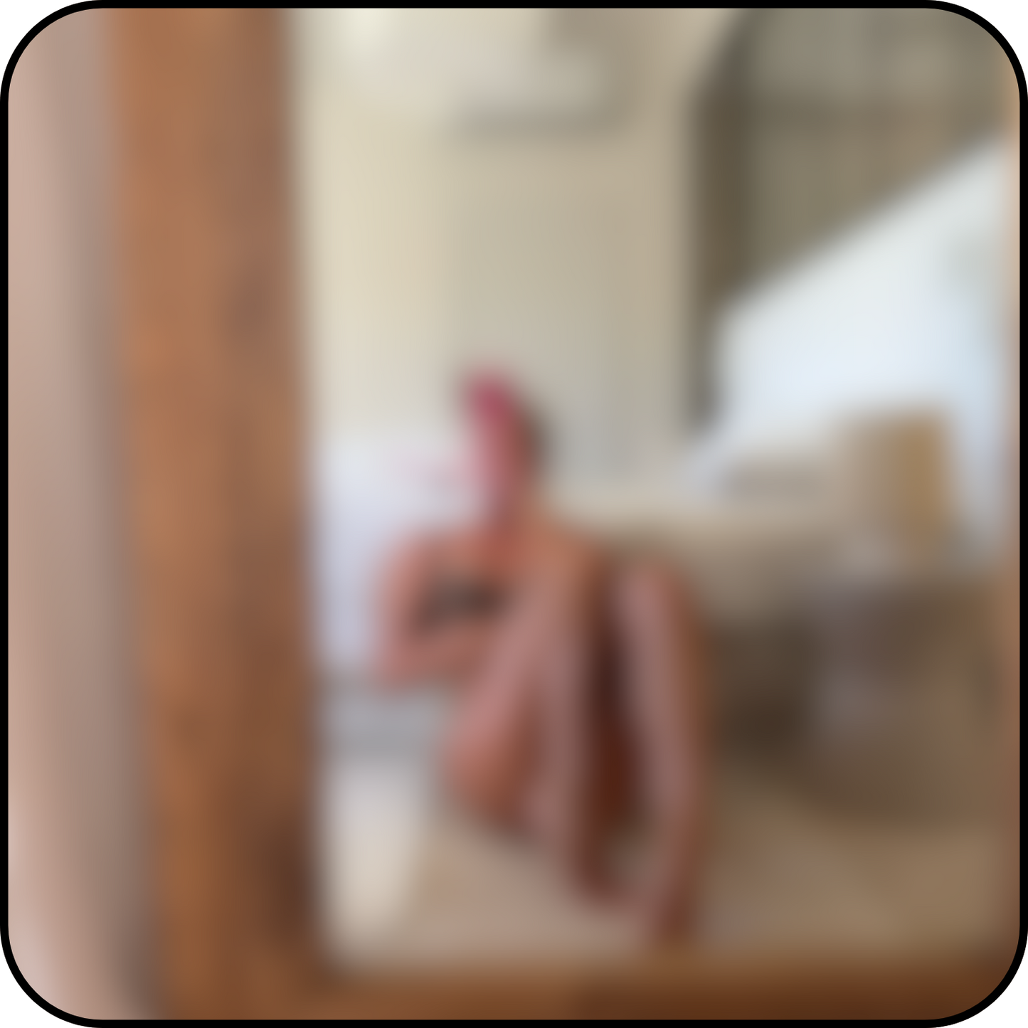 tropical... (11 pics)